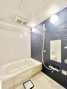 メゾン ラフェリオ 0203号-8