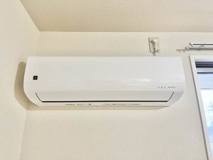 メゾン ラフェリオ 0203号-9