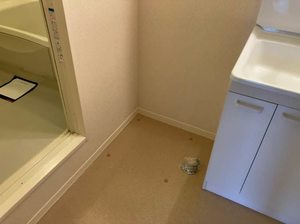 アトレッテ　ジーロ 0213号-10