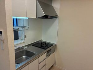 シャーメゾン　ルミベール 0201号-5