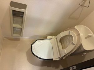 シャーメゾン　ルミベール 0201号-11