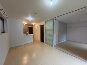 メゾン　ド　ピアレ 0101号-2