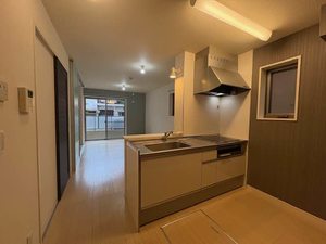 メゾン　ド　ピアレ 0101号-3