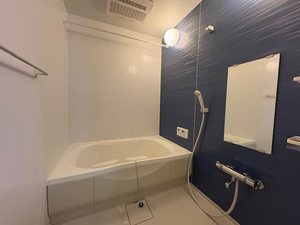 メゾン　ド　ピアレ 0101号-9