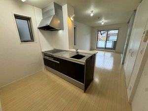 メゾン ド ピアレ 0202号-3