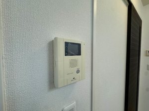 メゾン ド ピアレ 0202号-5