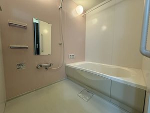 メゾン ド ピアレ 0202号-8