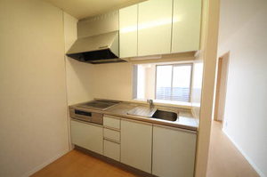 シャーメゾン　ファイン 0201号-2