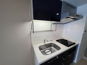 シティポケット 0301号-5