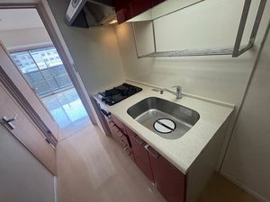 シティポケット 0402号-3