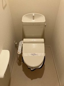 パール　シャーメゾン 0202号-11