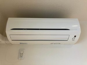 パール　シャーメゾン 0202号-13
