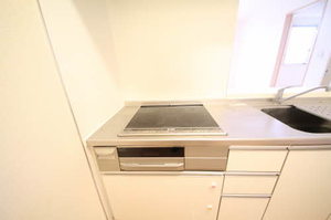 ビューテラス 0102号-4