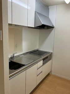 La casa pulita 0302号-7