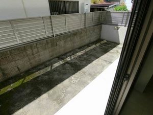 ＣＡＳＡ　ＭＯＮＴＥＲＥＹ（カーサ　モントレー） 0102号-11