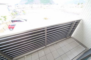 メゾンしばざくら 0206号-10