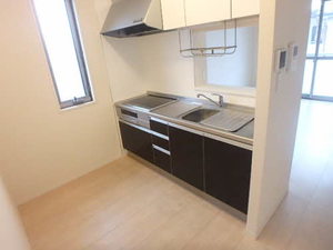 アヴェニーレ西井ノ口 0205号-3