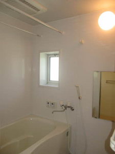 シャーメゾン和歌川 0201号-9