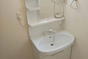 シャーメゾン　メイプル 0102号-9