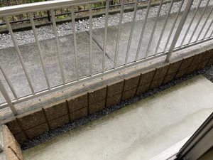 サニー　フォレスト 0101号-11