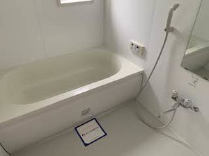 シャーメゾン紀三井寺 0202号-12