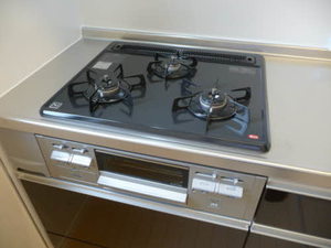 シャーメゾン柿の木 0205号-2