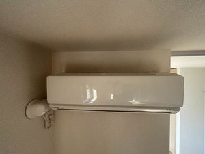 シャーメゾンＮＥＸＴ 0102号-14