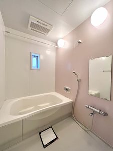 ヴィバとき 0201号-7