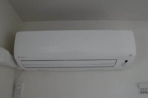 ヴィバとき 0301号-9