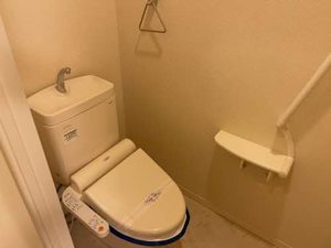 シャーメゾン　紬（つむぎ） 0201号-10