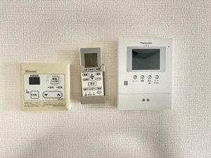 シャーメゾン　紬（つむぎ） 0201号-14