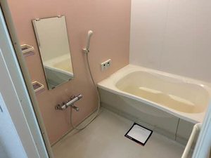 アビデ　サントル 0206号-4