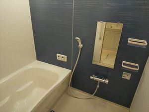 シャーメゾン・パストラル 0103号-10