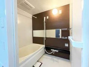 ボー・シャルダン望 0207号-4