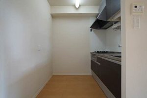 ラ　ヴィ　アンソレイエ 0205号-9