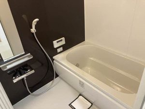 メゾン・ファミール 0205号-6