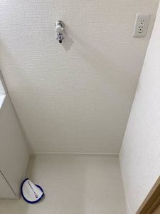 メゾン・ファミール 0205号-8