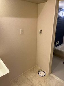 シンフォニー 0102号-11