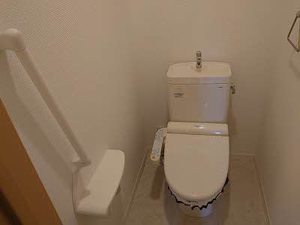 シャーメゾン　グランモンターニュ 0202号-10