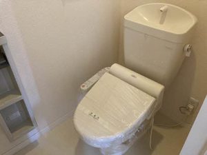 グレイスワン B101号-6