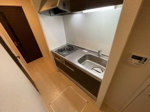 ラ・メイジュ阪大下 0103号-8