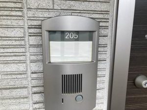 ラ・メイジュ阪大下 0205号-2