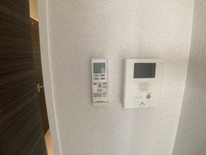 ラ・メイジュ阪大下 0205号-11