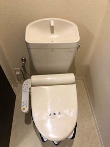 ラウレア 0201号-15