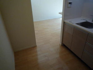 プレミアス新町 0702号-3