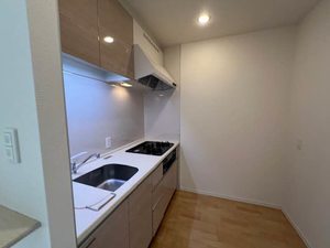 プレミアス新町 0903号-7