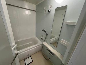 プレミアス新町 0903号-12