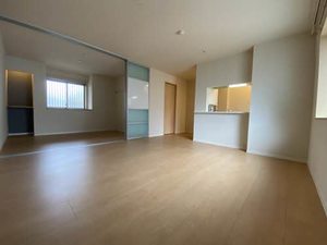 ｖｉｎｃｕｌｕｍ　ＵＫ 0202号-2