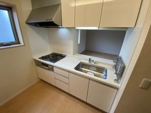 ｖｉｎｃｕｌｕｍ　ＵＫ 0202号-3