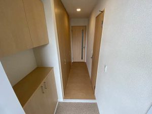 ｖｉｎｃｕｌｕｍ　ＵＫ 0202号-6